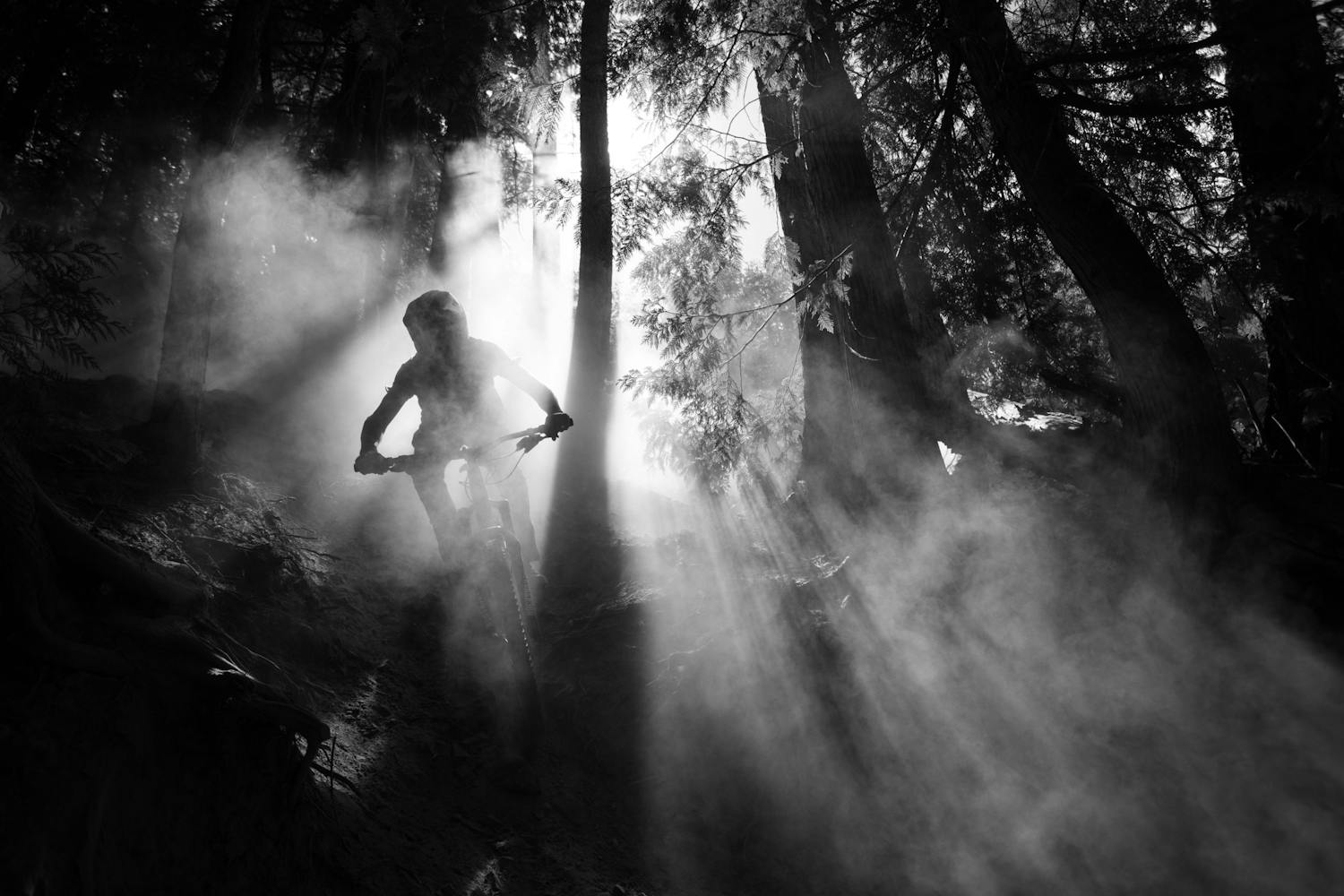 raw21 0726170152322 24753 web Maastopyöräilyä metsässä.